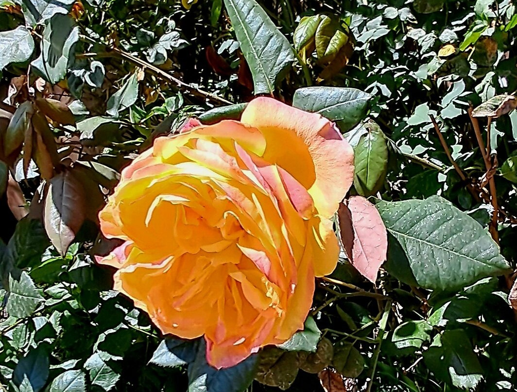 Musee de la Palmeraie-马拉喀什必去景点