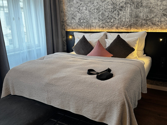 The Manes Boutique Hotel Prague主图