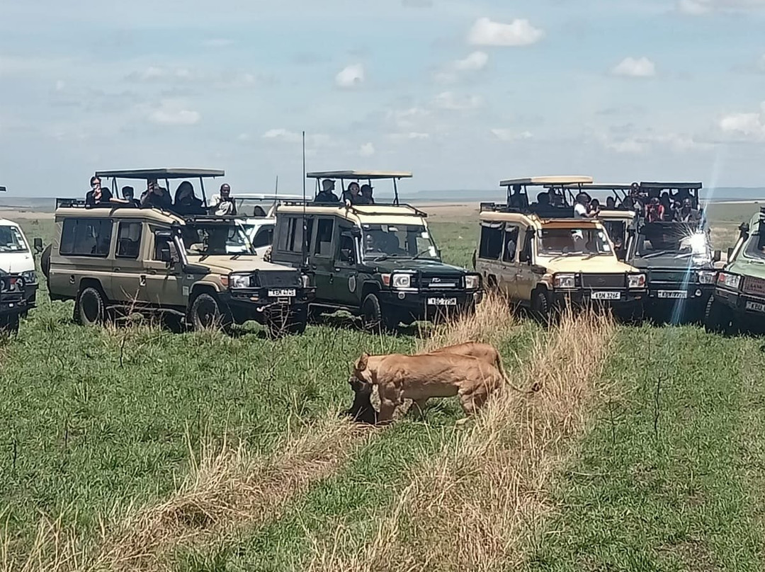 Nairobi Specialists Safaris, Car Hire, Drivers-内罗毕必去景点