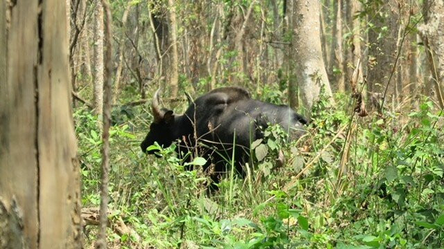 Nepal Dynamic Eco Tours & Services景点图片