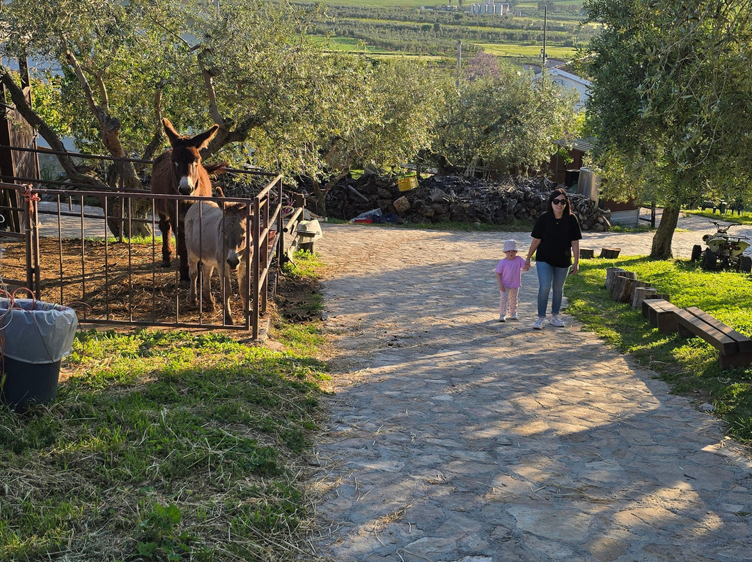Fattoria Rovello-San Paolo di Civitate必去景点