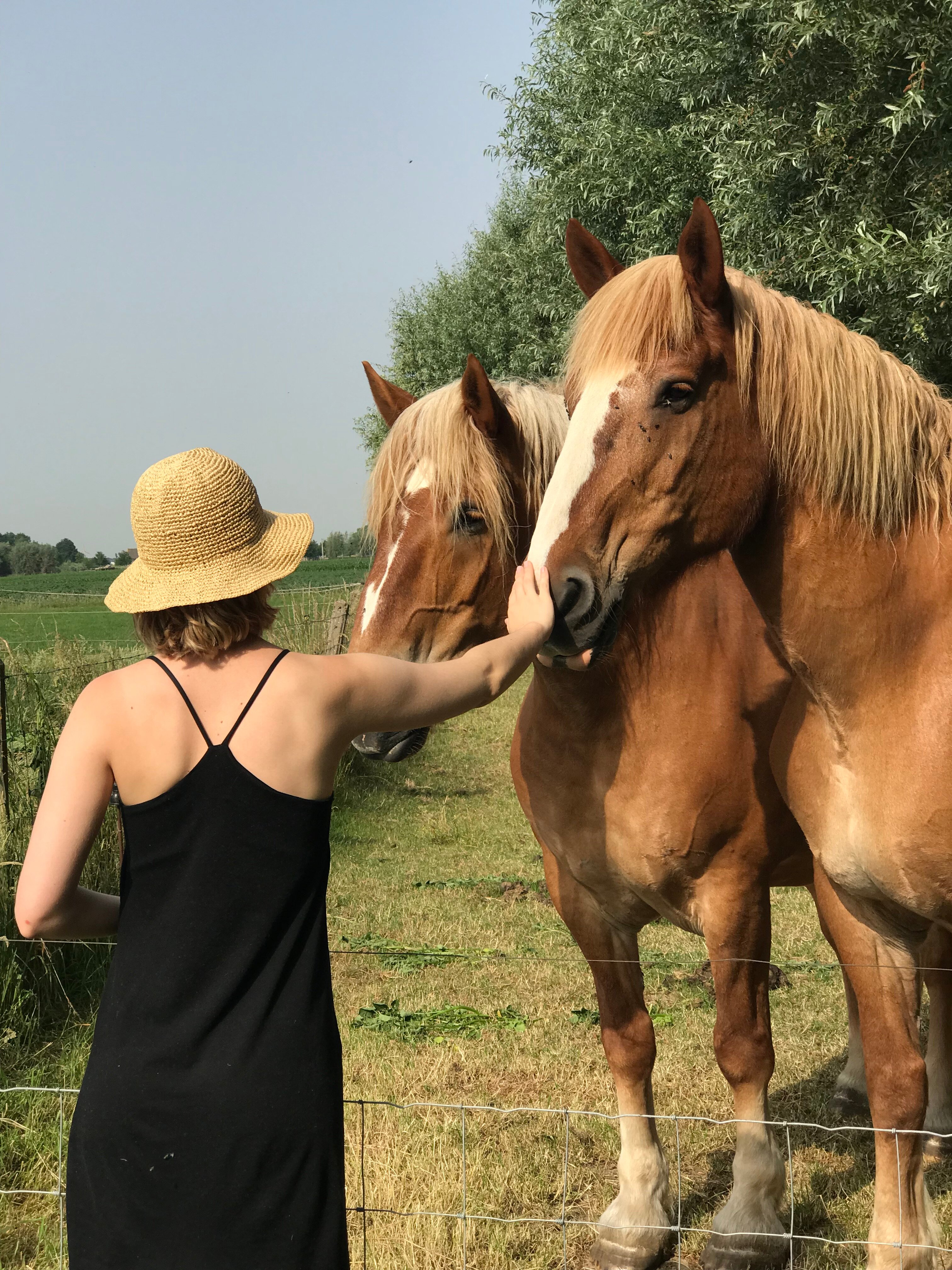 Hof ter Heebeke B&B-官方