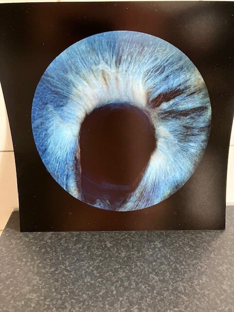 Iris Galerie Utrecht