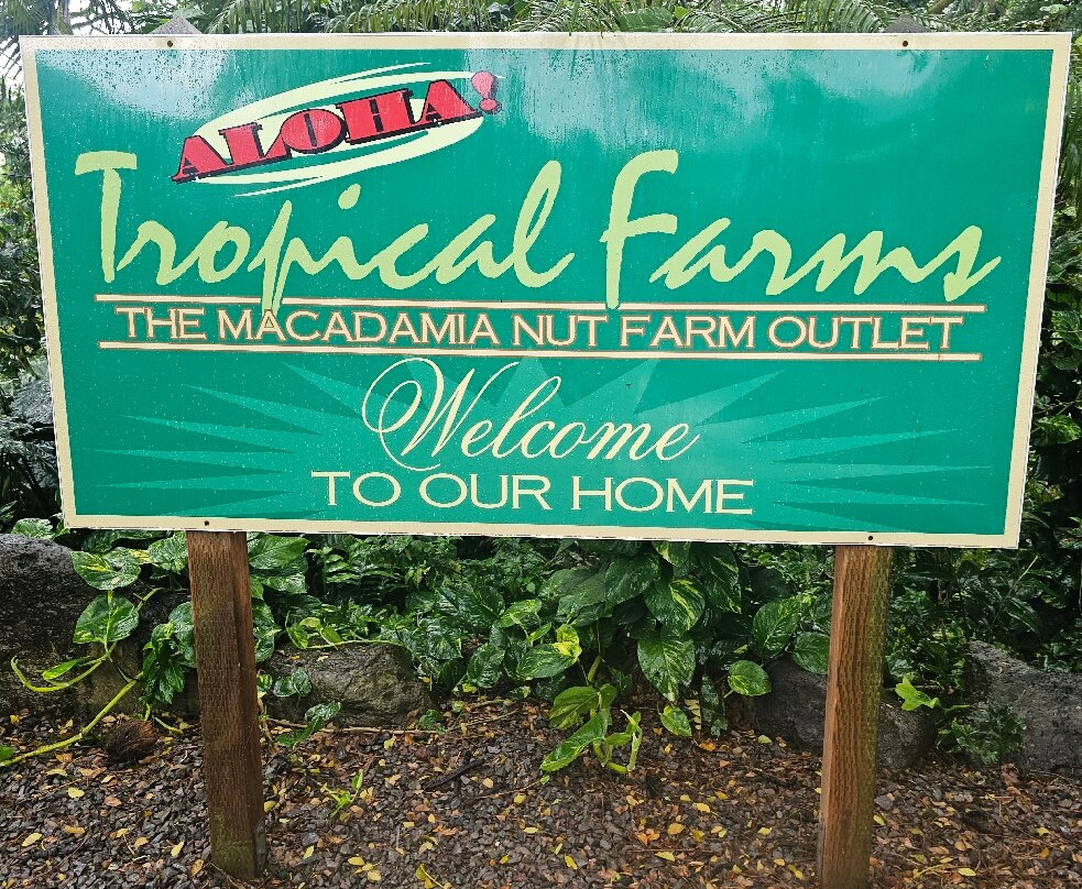 热带农场,澳洲坚果农场之旅-卡内奥赫必去景点