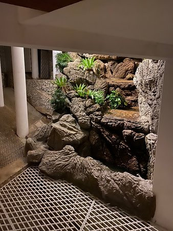 皇家翼酒店主图