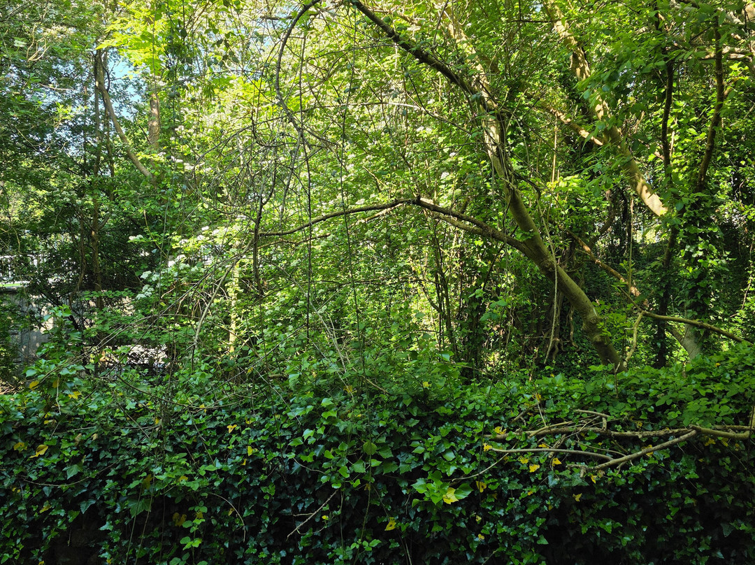 Travelodge Cardiff Llanedeyrn主图