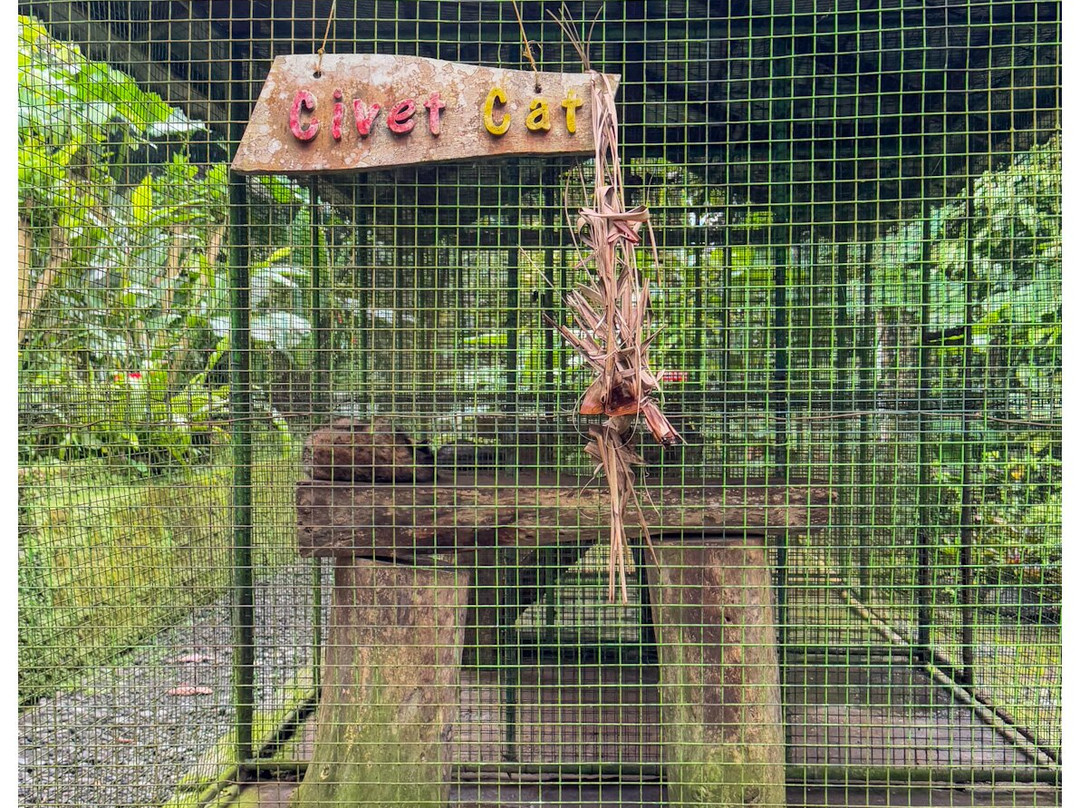 Buana Amertha Sari (BAS)-邦利必去景点