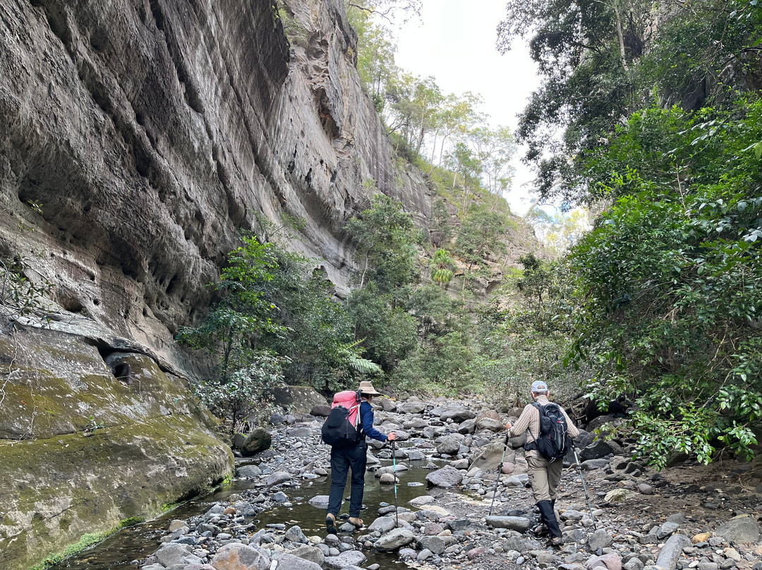 Australian Nature Guides-Carnarvon National Park必去景点