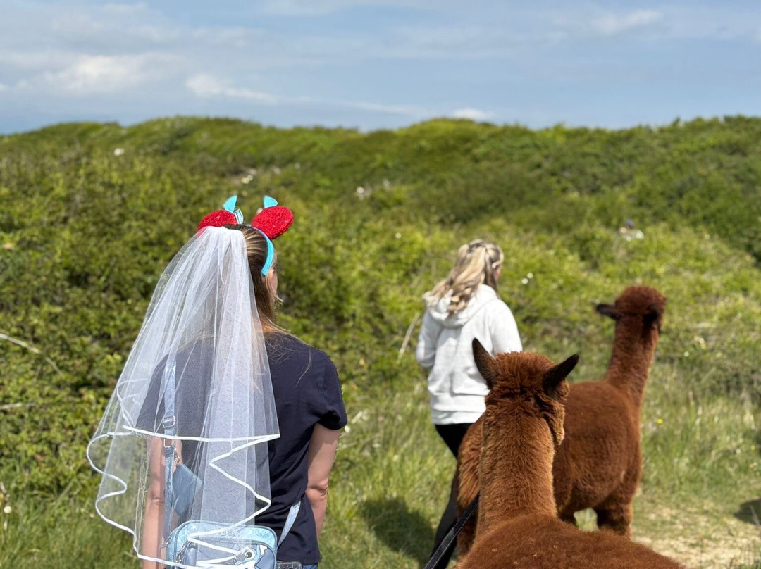 Portland Alpaca Trekking-Weston必去景点