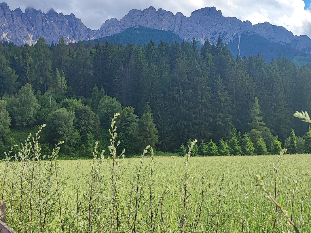 Ciclabile della Drava San Candido-Lienz-圣坎迪多必去景点