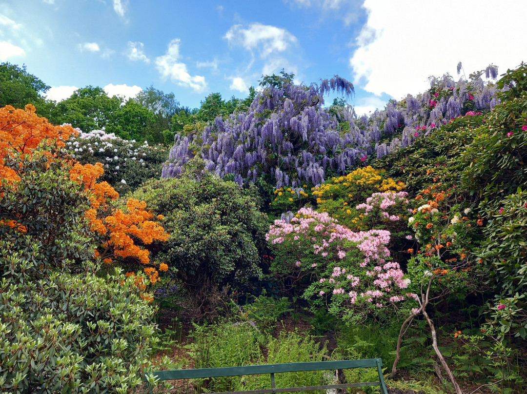 The American Garden-海斯必去景点
