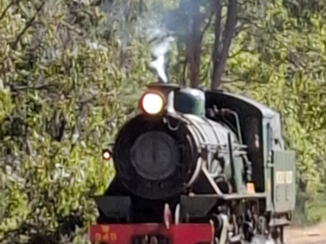 Hotham Valley Tourist Railway景点图片