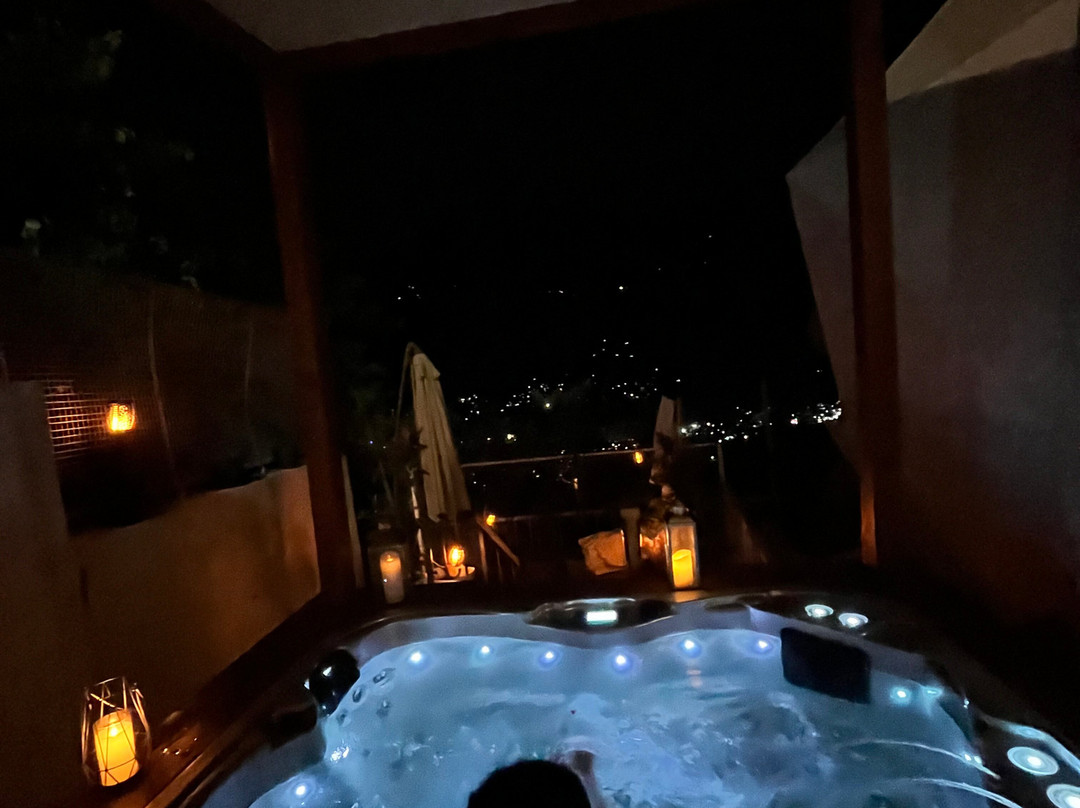 Tree of Life Eila Art Hotel, Manali主图