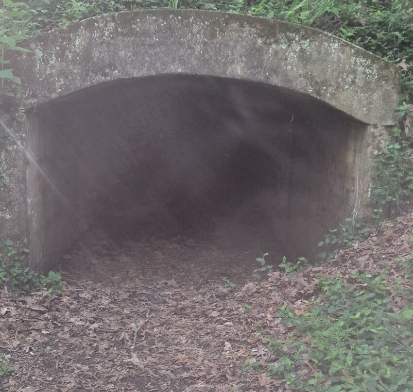 Shakamak State Park-Jasonville必去景点