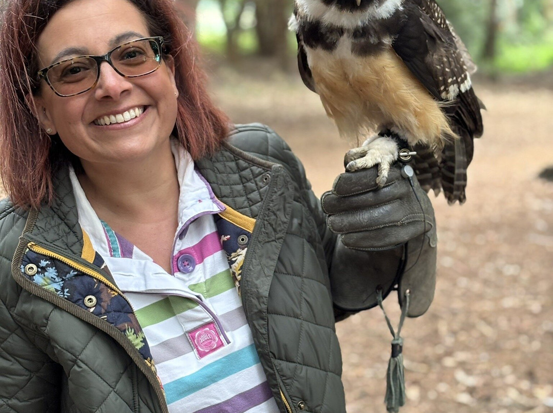 Bird of Prey Experiences - Hawkeye Falconry UK-Thoresby必去景点
