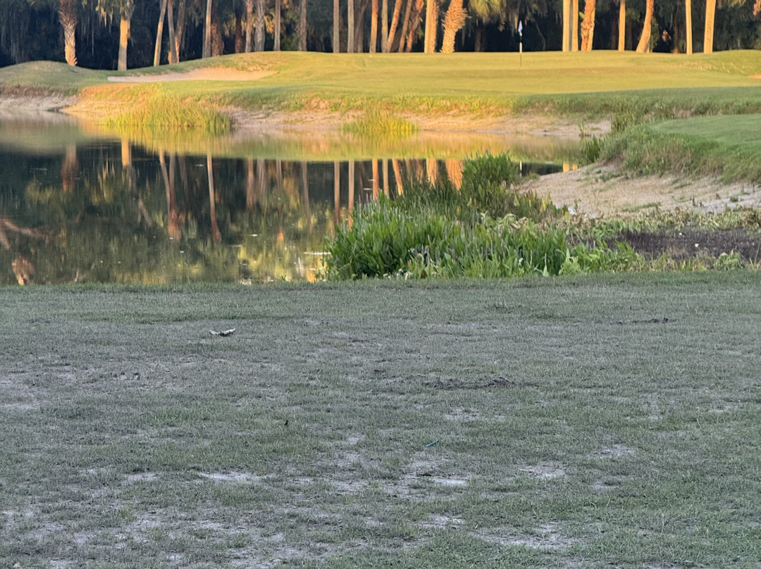 Celebration Golf Club景点图片