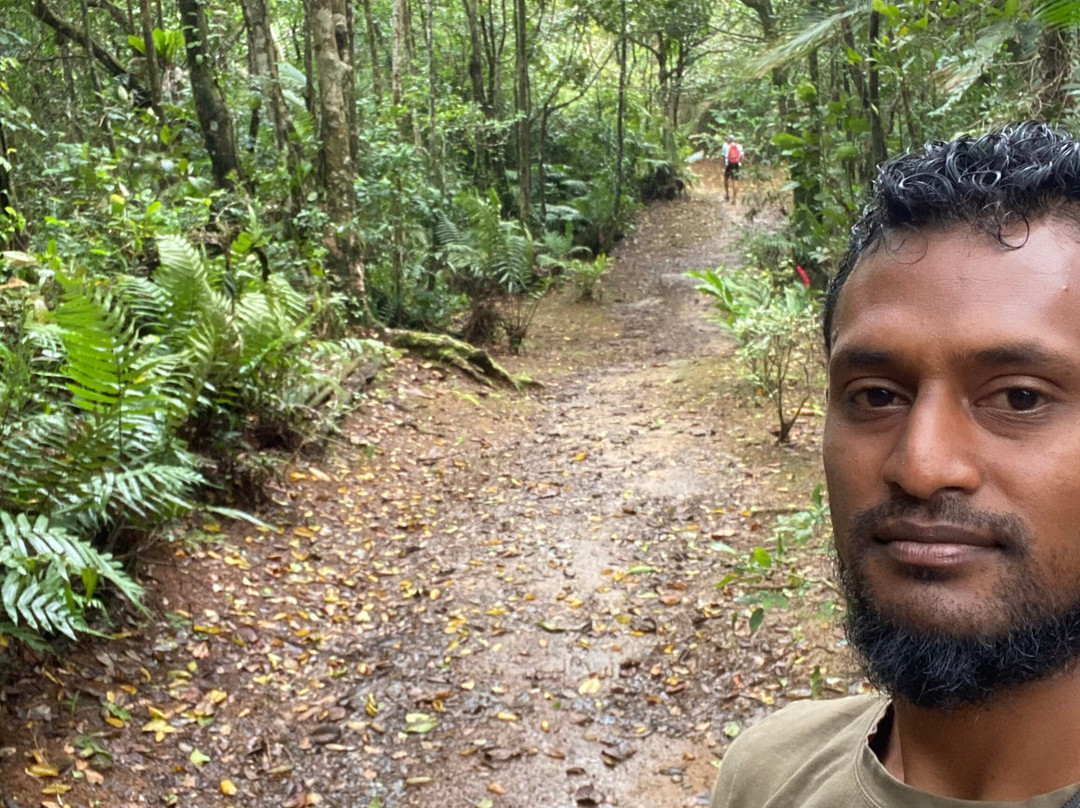 Mount Qua Qua Grenada-Grand Etang National Park必去景点