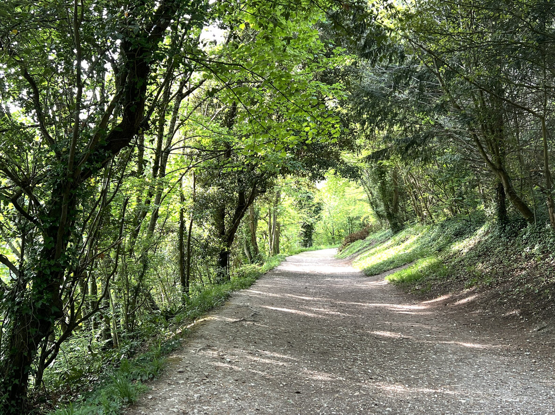 Swanbourne Lake景点图片