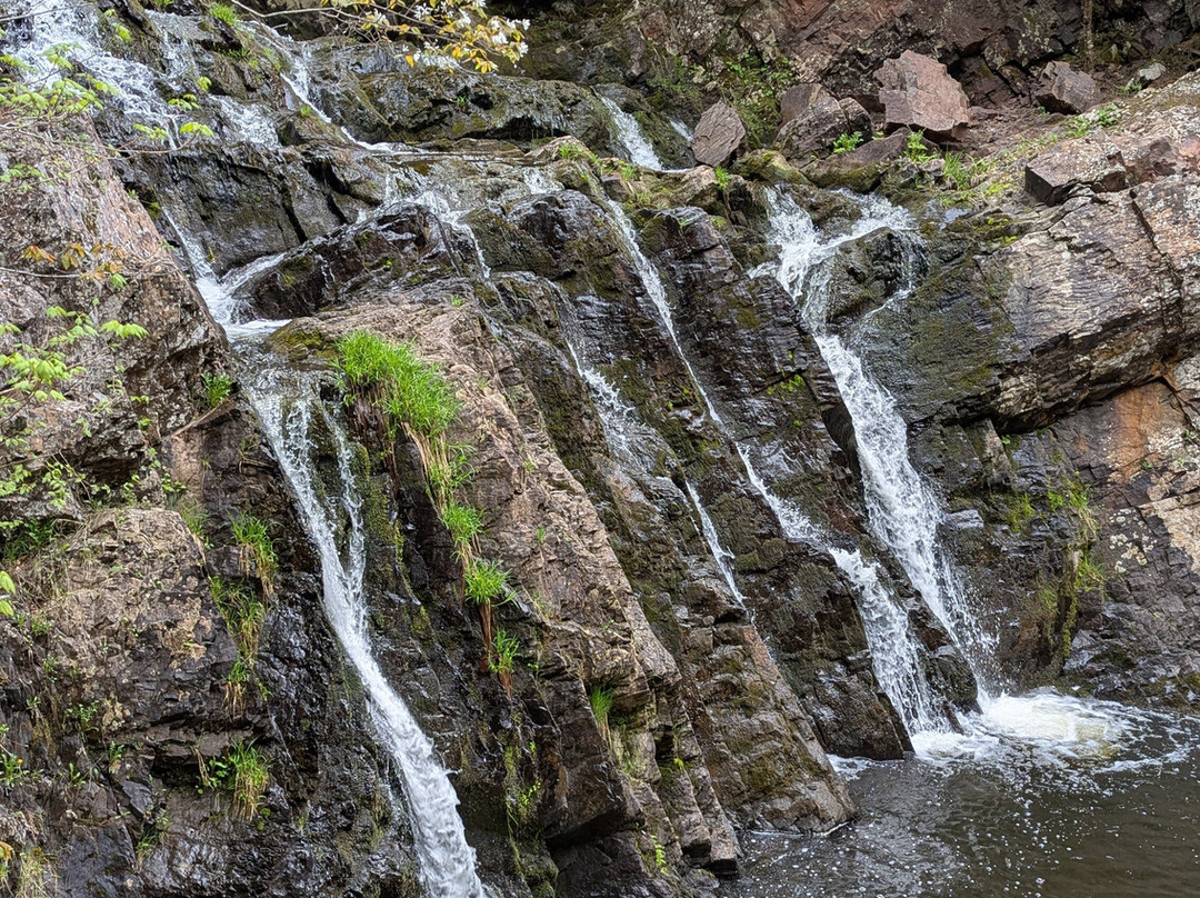 Victoria Park-Truro必去景点