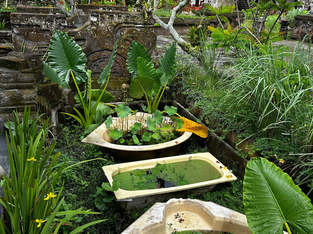 苏丽水疗度假村主图