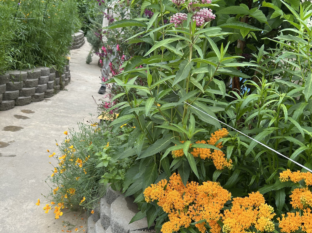 The Butterfly Haven-Pingree必去景点