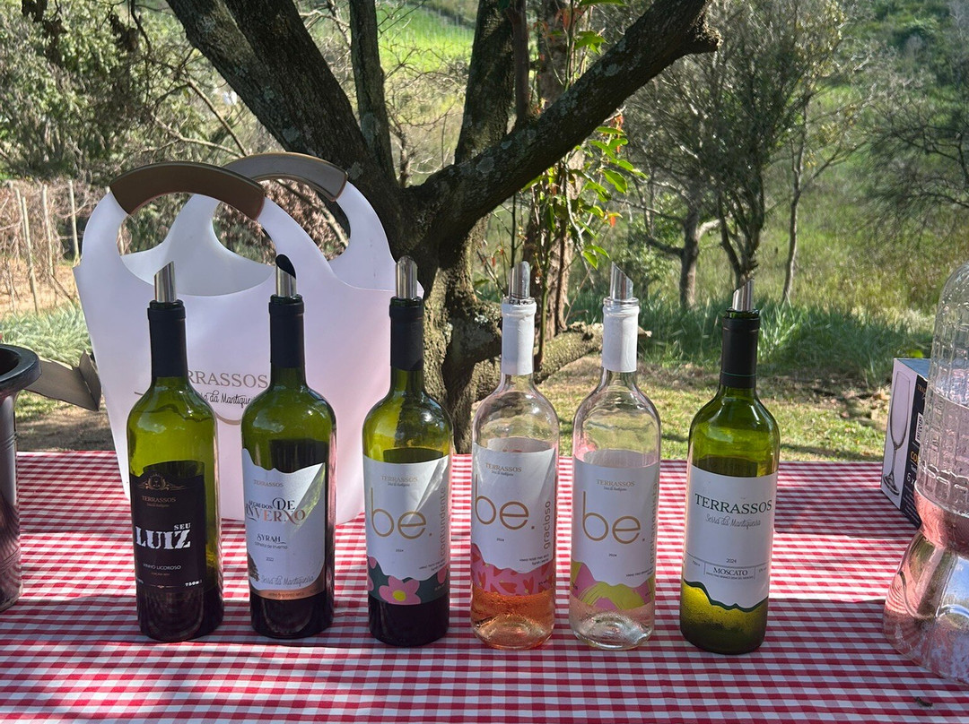 Vinícola Terrassos-Amparo必去景点