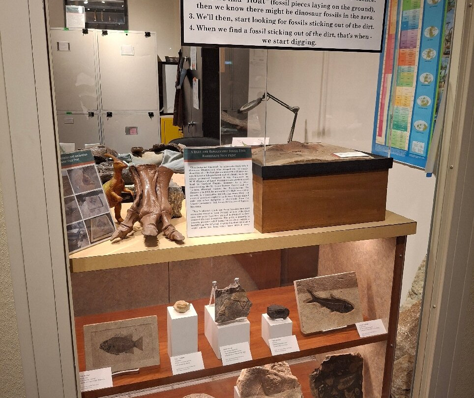 Saint Louis Science Center-圣路易斯必去景点