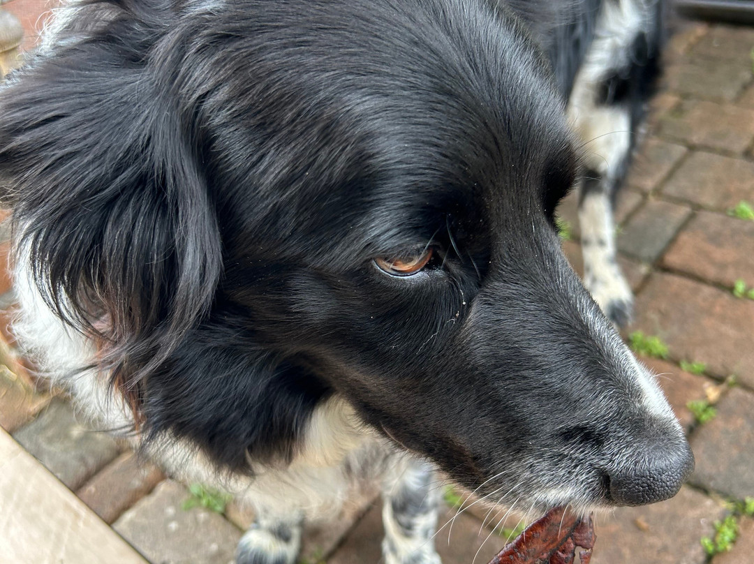 La Casa di Campagna Sul Garda主图