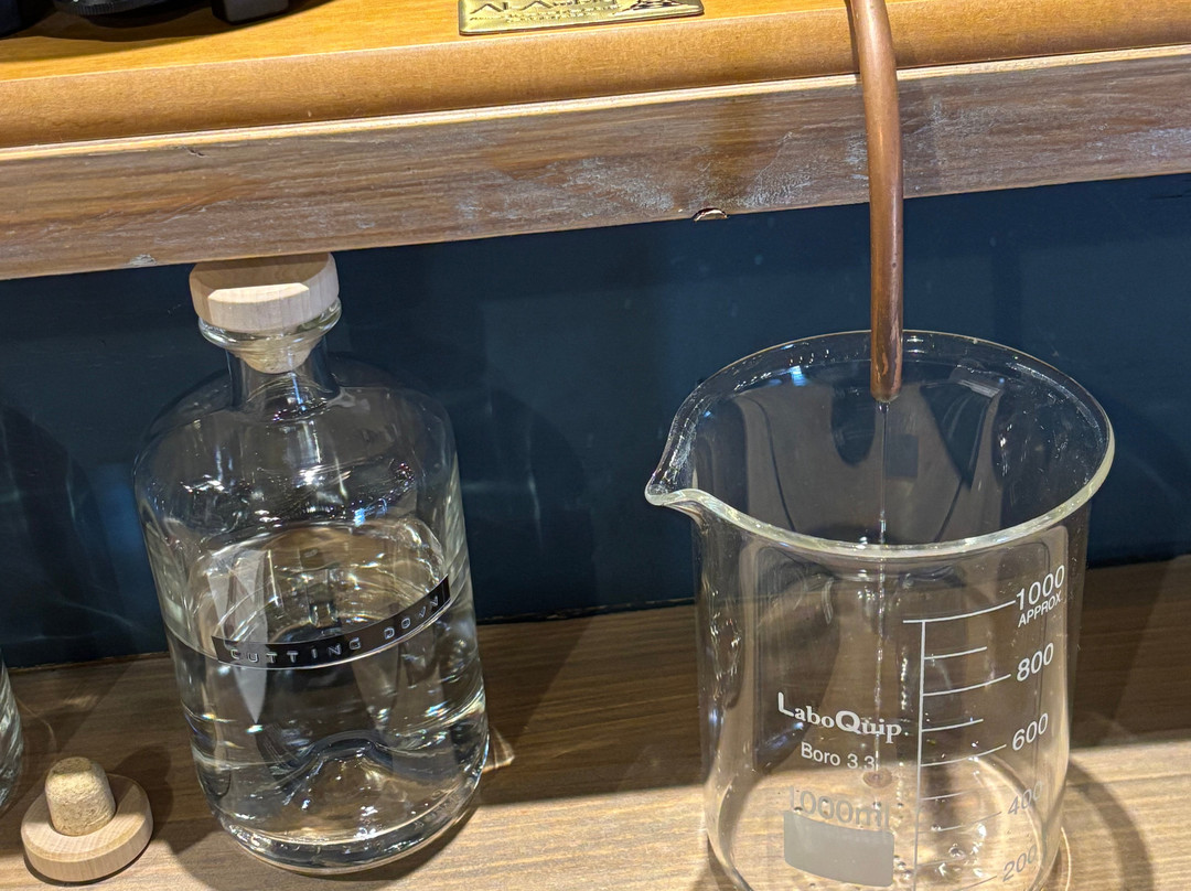 The Henley Distillery Gin Experience景点图片
