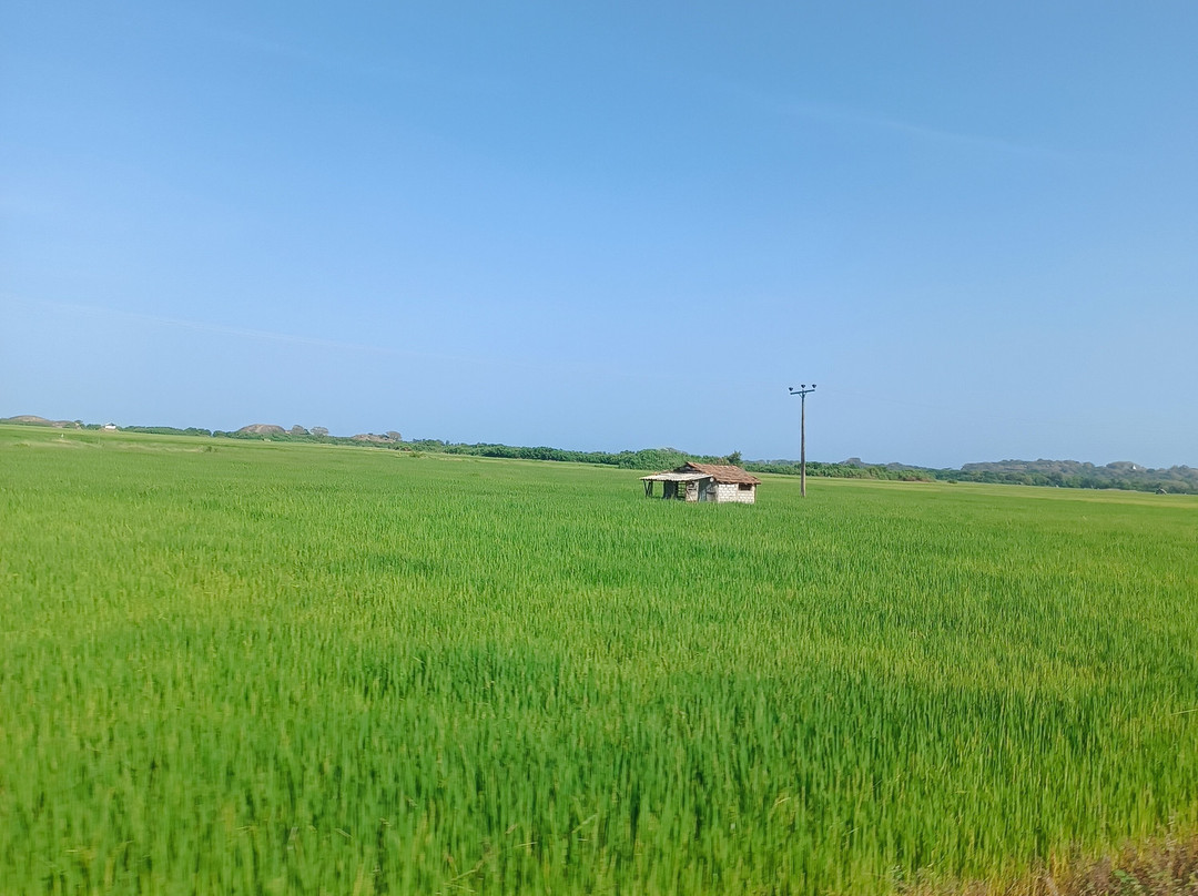 Happy surf school-阿鲁甘湾必去景点