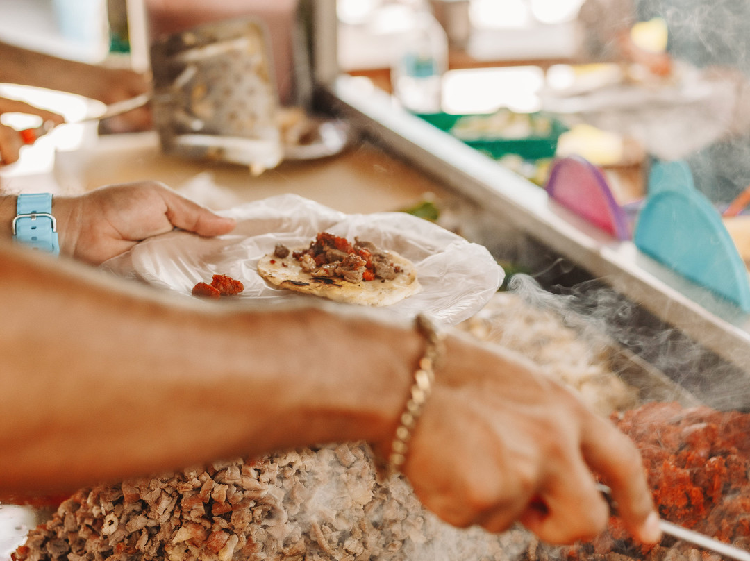 Vallarta Food Tours景点图片