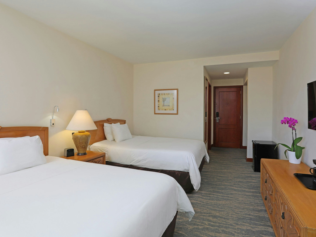 圣多明各空港优质酒店