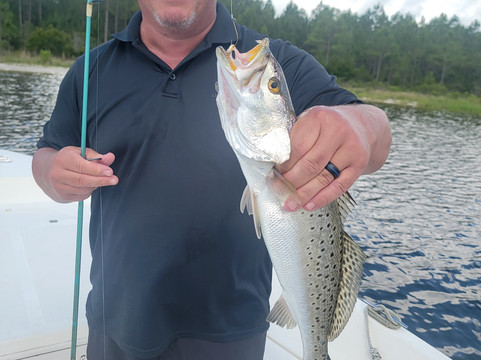 Brown's Inshore Guide Service-橙色海湾必去景点