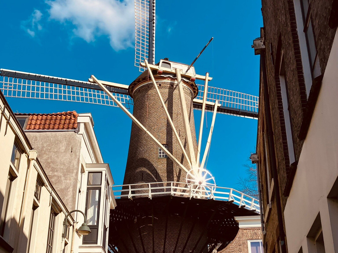 Red Lion Windmill (Molen De Roode Leeuw)-高德必去景点