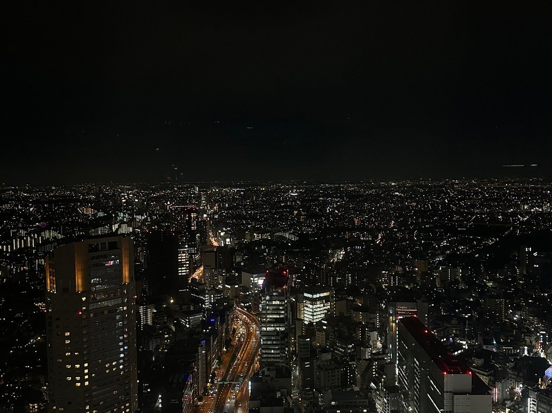 Shibuya Sky景点图片