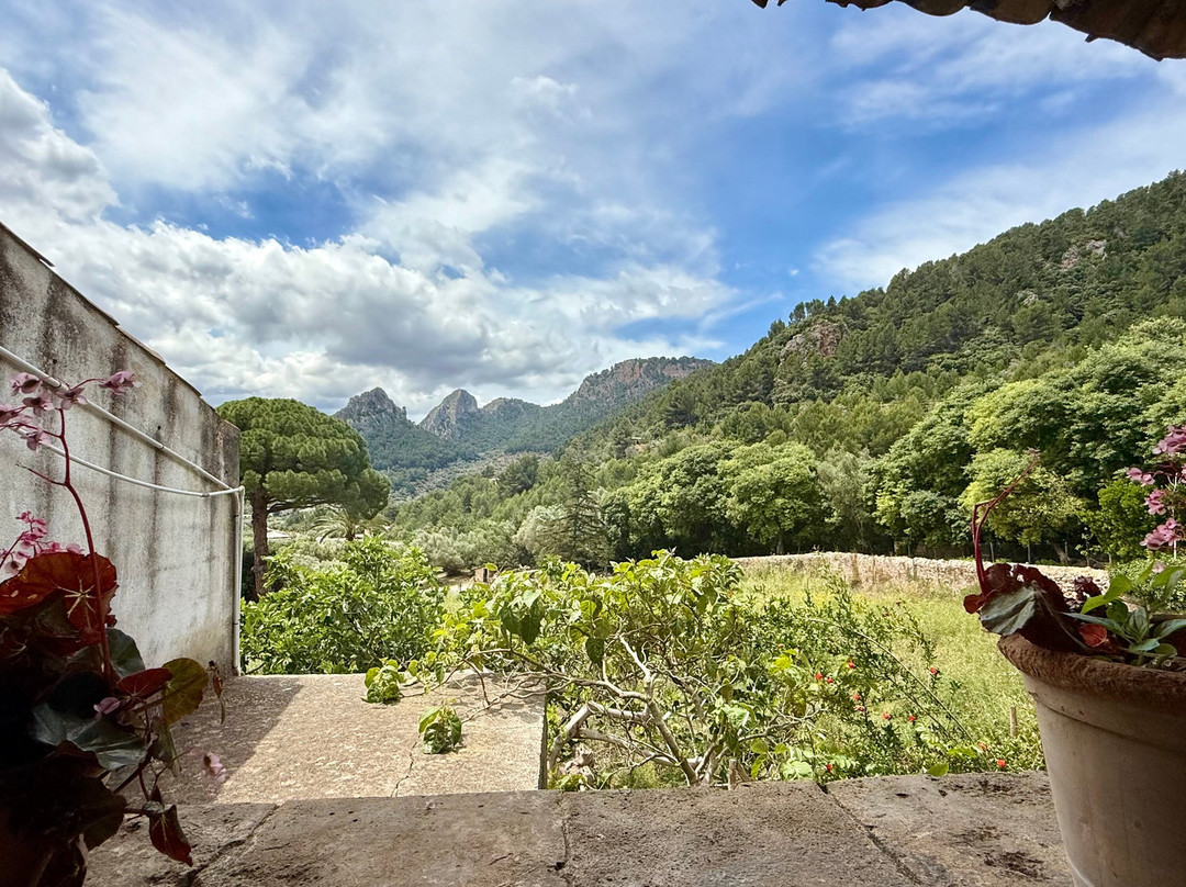 Jardins d'Alfabia景点图片