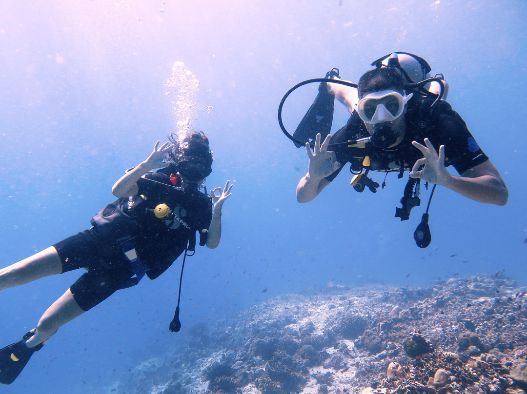 DSM Dive - Gili Trawangan景点图片
