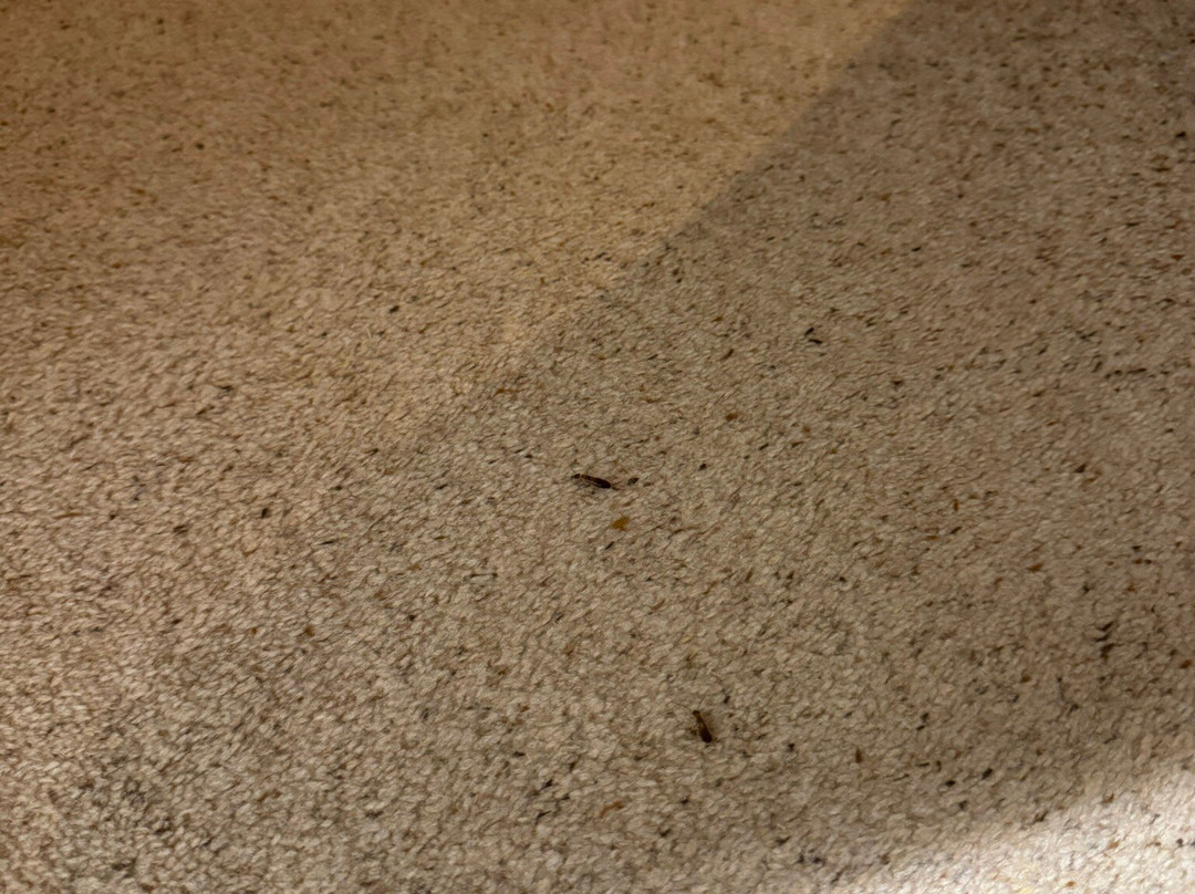 斯潘霍旅馆主图