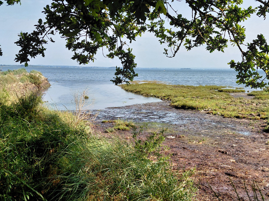 Salines de Truscat-Sarzeau必去景点