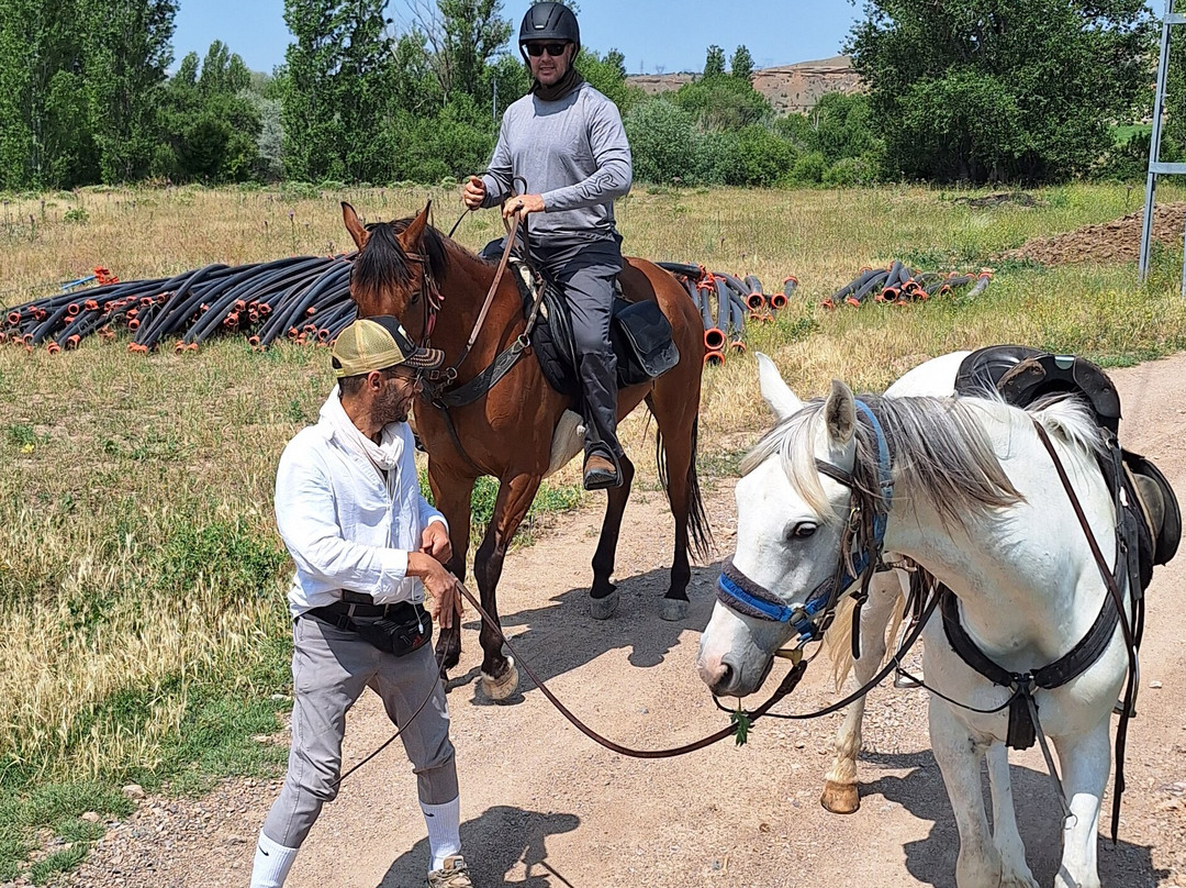Akhal-Teke Horse Riding Center-阿瓦诺斯必去景点