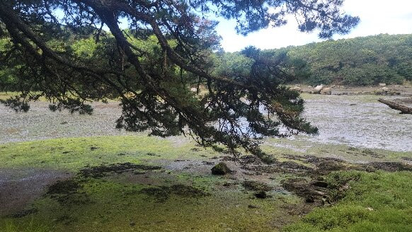 Plage de Port Manech-Nevez必去景点