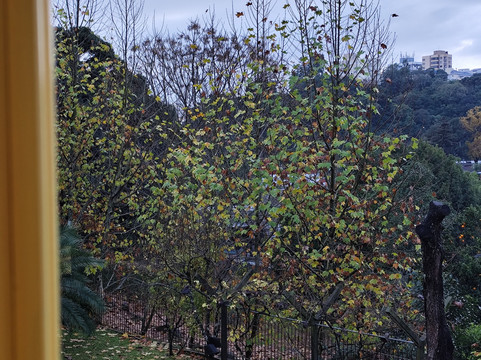 Pousada Do Chale主图