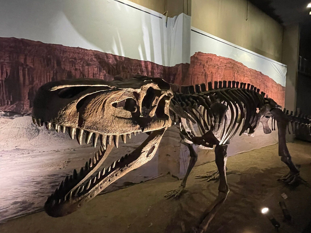 Parque Provincial Ischigualasto-圣奥古斯汀镇必去景点