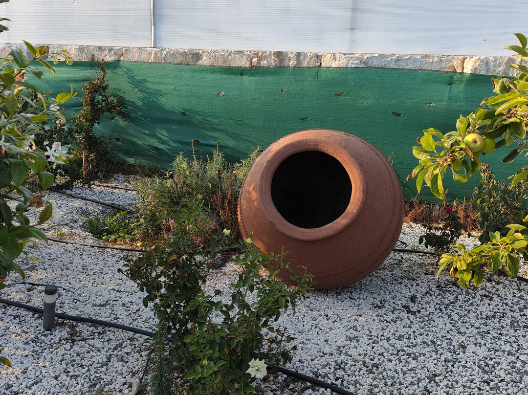 Pyrgos Aroma Herbal Park-Pyrgos必去景点