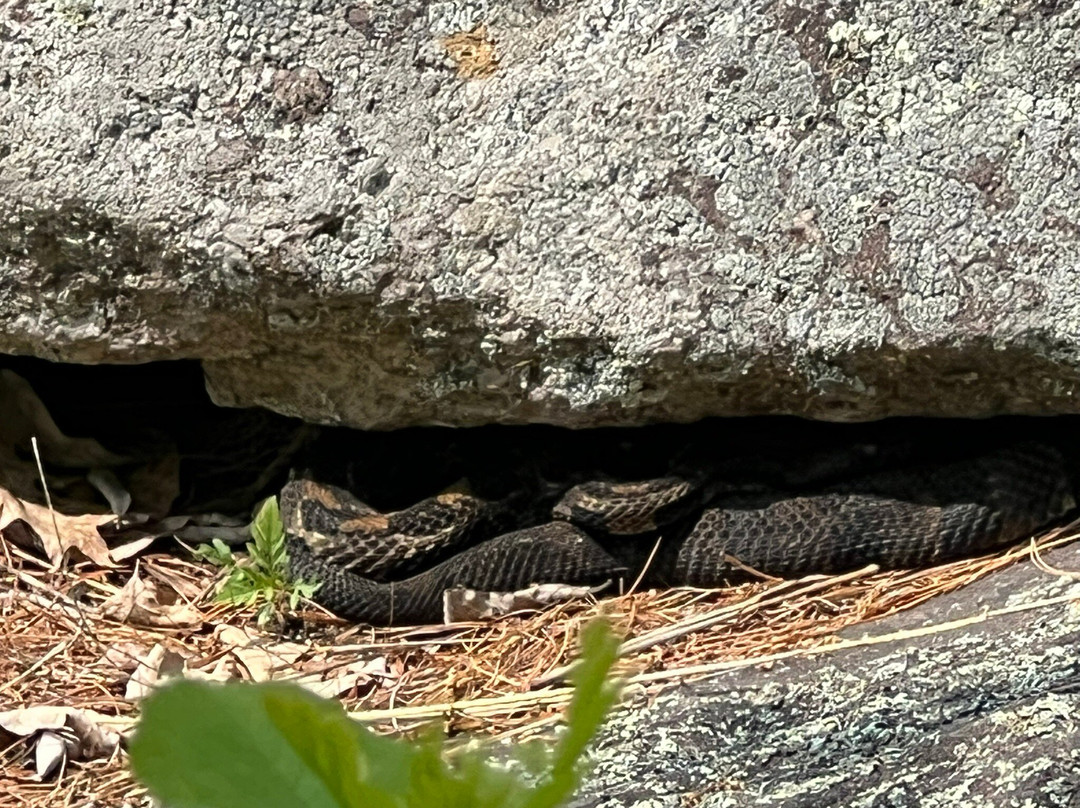 Tongue Mountain Range Trails-Bolton Landing必去景点