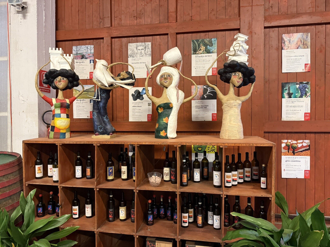 Cantine del Castello Conti-Maggiora必去景点