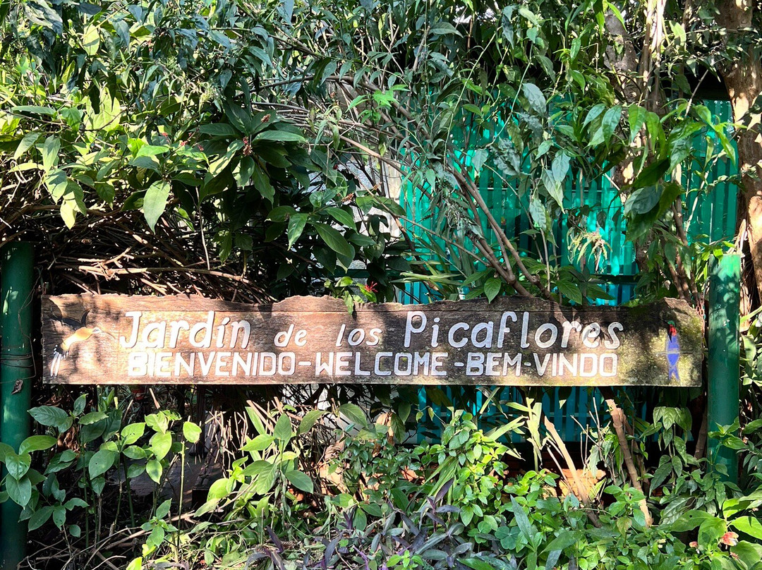 Jardin de los Picaflores-伊瓜苏港必去景点