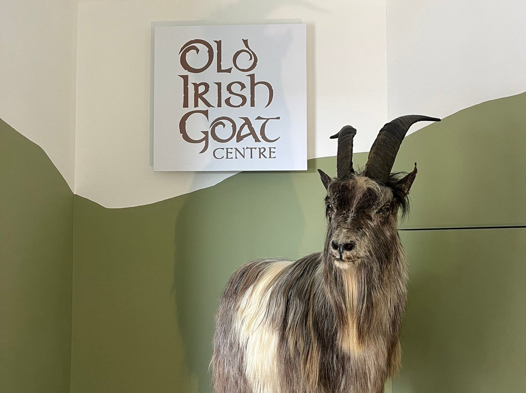 Old Irish Goat Centre-Mulranny必去景点