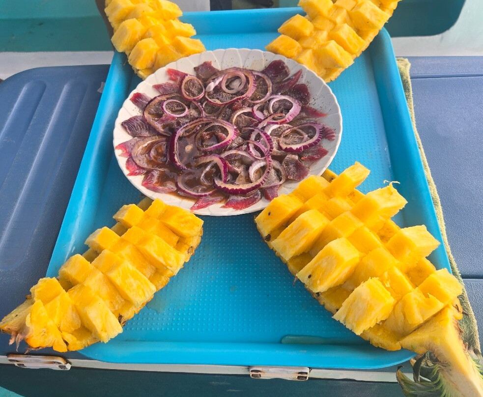 El Cadejo Marino-Playa Panama必去景点