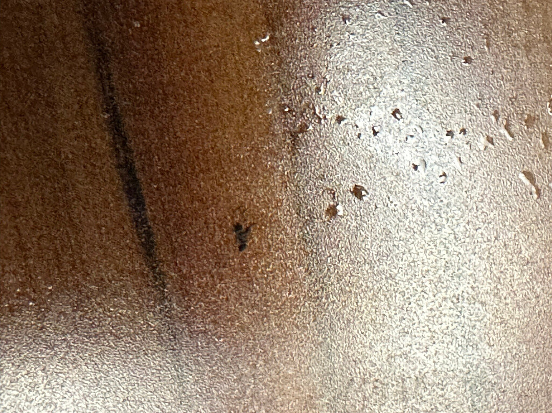 Hampton Inn & Suites Woodstock主图